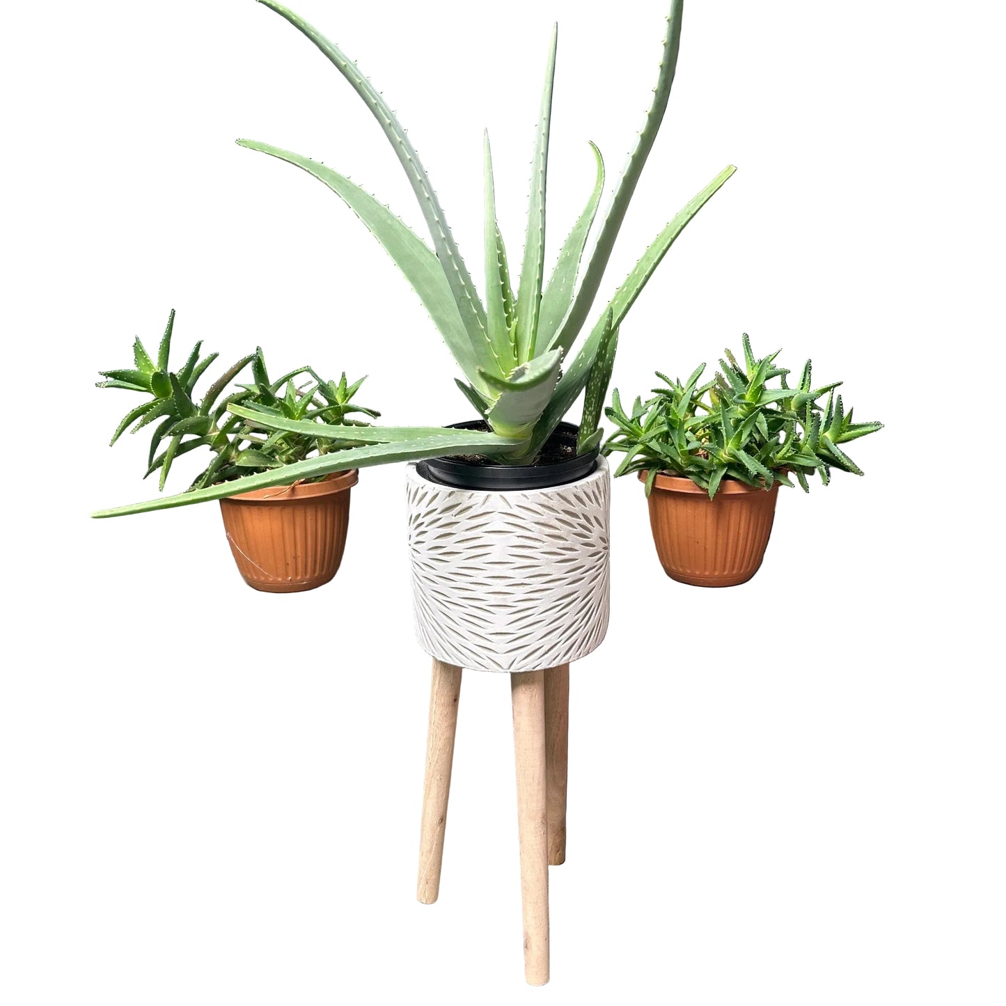 9" Decorative Pot with Legs