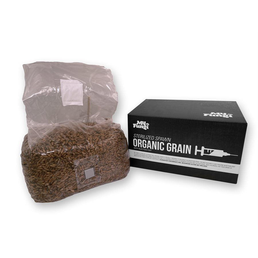 MyFungi Sterilized Organic Grain Substrate 5lb