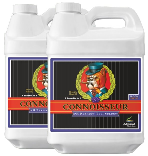 AN Connoisseur Bloom A/B Set - All Sizes