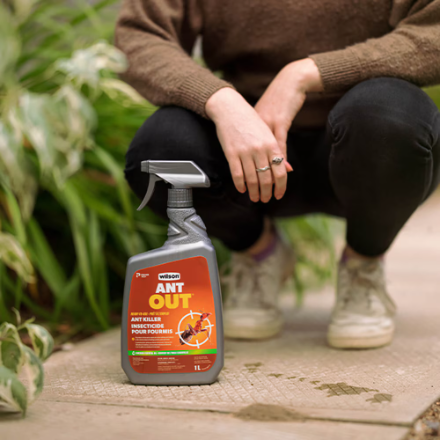 Wilson Ant Out 1L RTU Indoor and Outdoor Spray