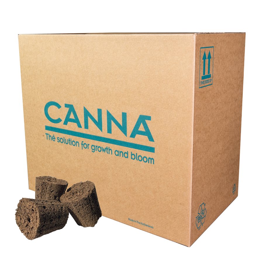Canna Root Plugs - Bag of 50