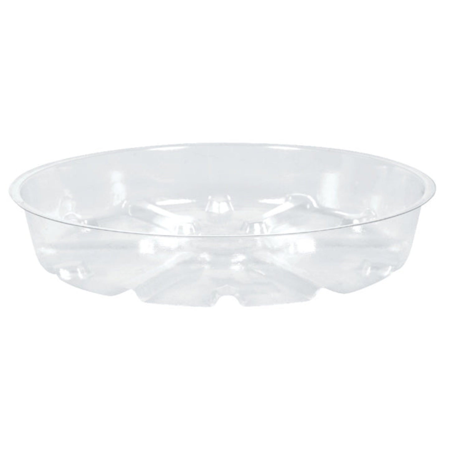 Clear Saucer / Tray