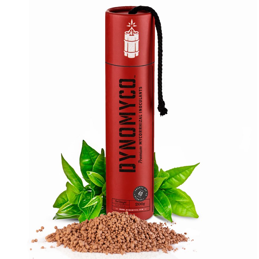 DynoMyco 100g & 200g