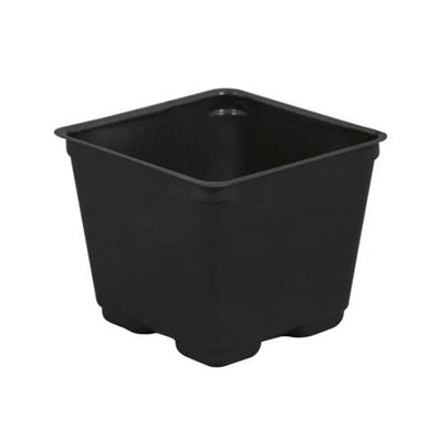 Square Pots - All Sizes