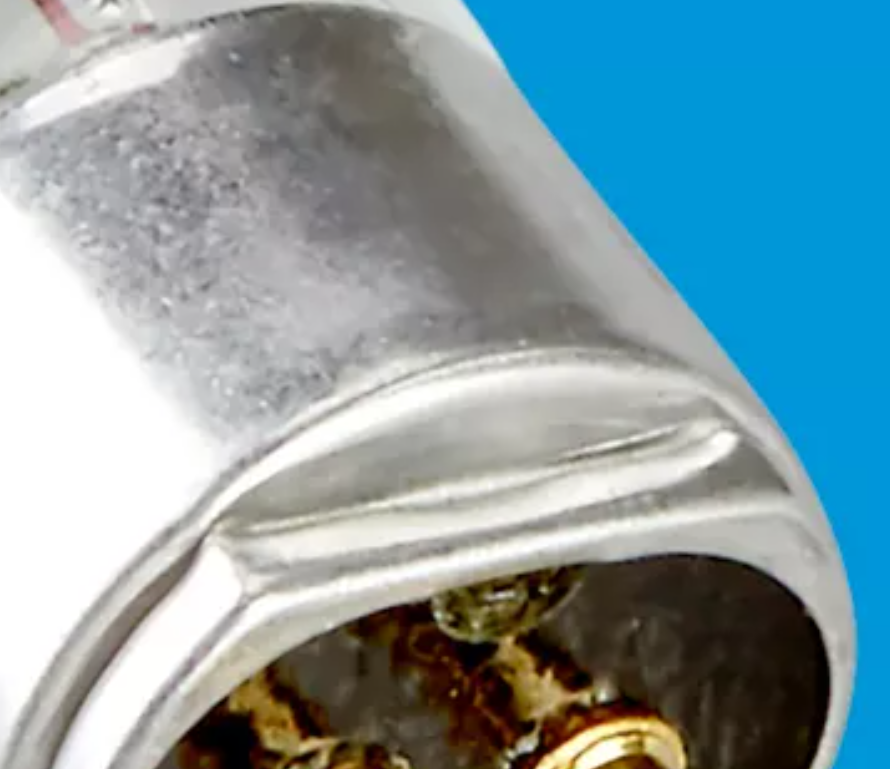 GrowerBasics T5 Replacement Bulbs 6500K - 48"