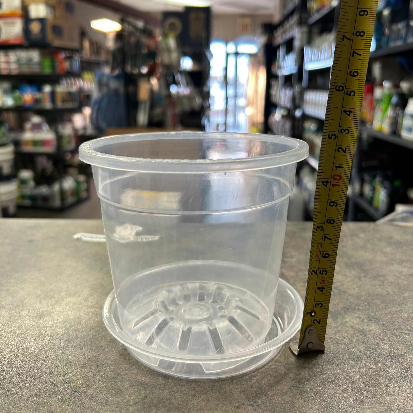 Clear Pots and Saucers - All Sizes