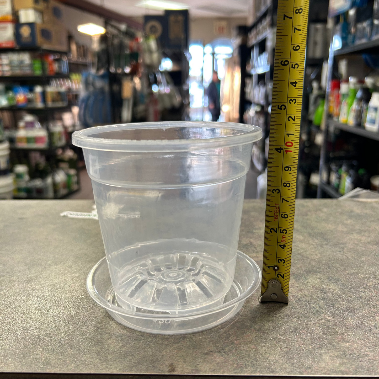 Clear Pots and Saucers - All Sizes