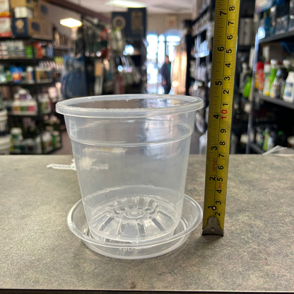 Clear Pots and Saucers - All Sizes