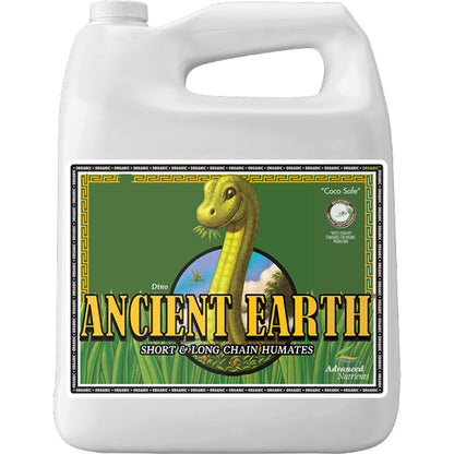Ancient Earth