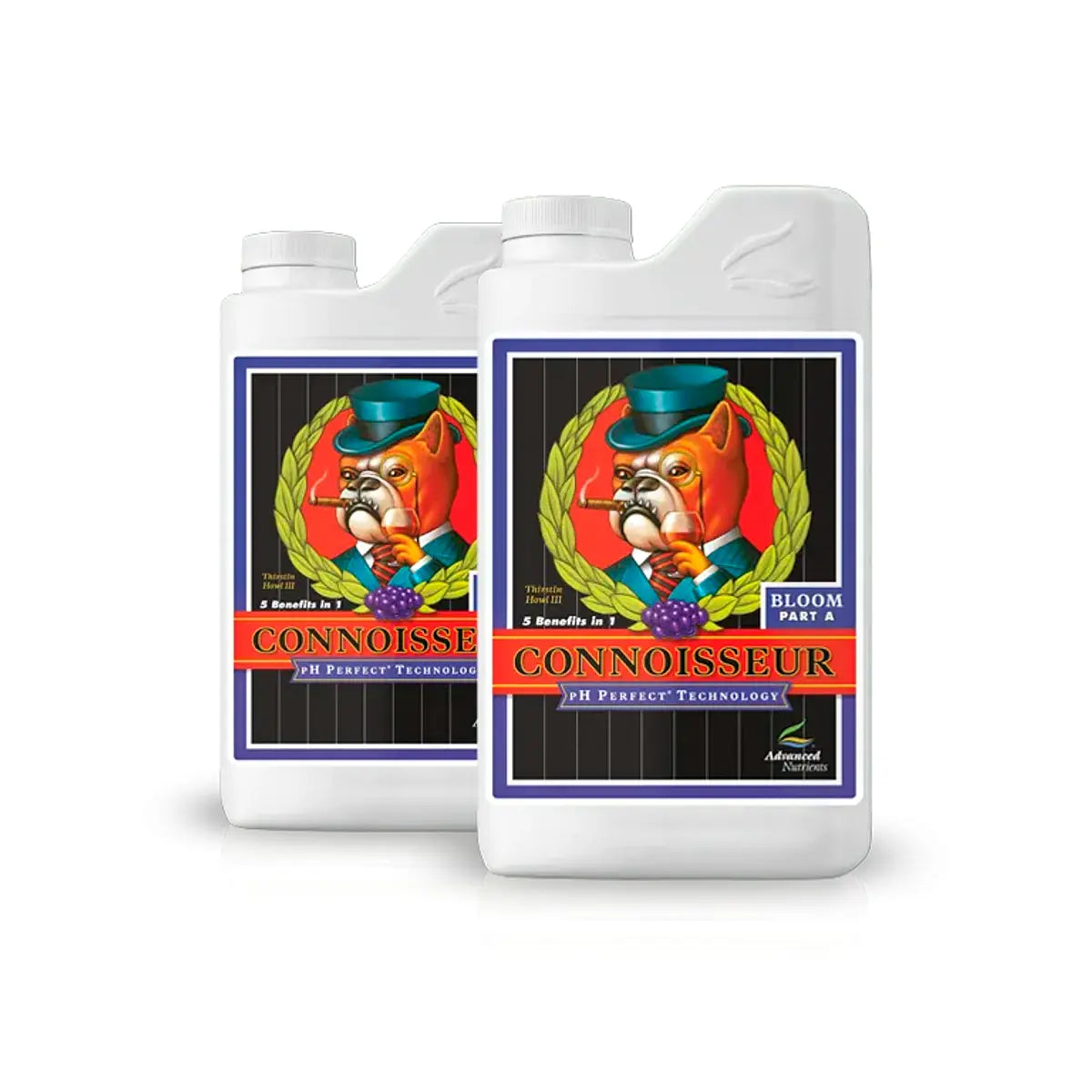 AN Connoisseur Bloom A/B Set - All Sizes