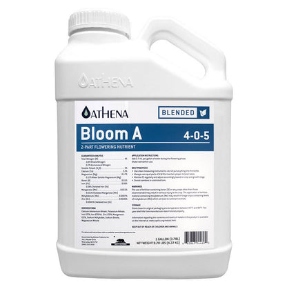 Athena Bloom A 3.78L