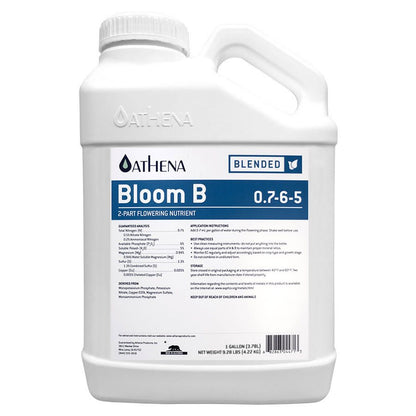 Athena Bloom B 3.78L