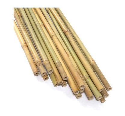 Bamboo Support Stakes - All Sizes *In-Store Pickup only