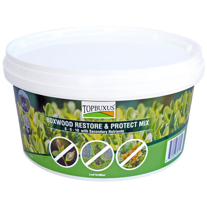 Boxwood Restore & Protect