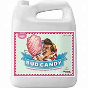 Bud Candy
