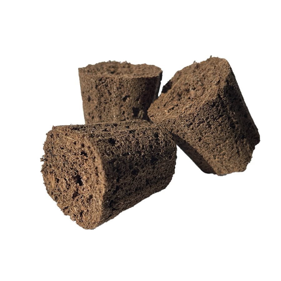 Canna Root Plugs - Bag of 50