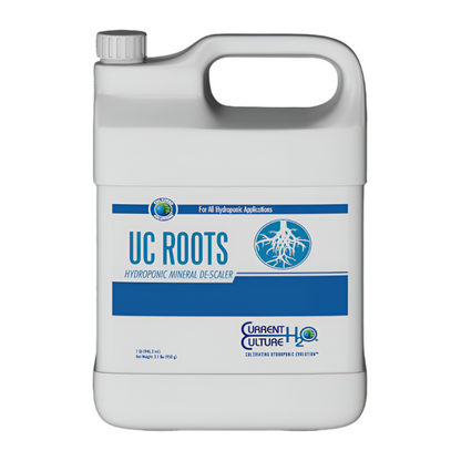 UC Roots 1L