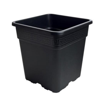 Square Pots - All Sizes