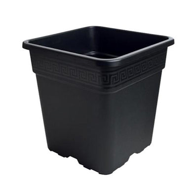 Square Pots - All Sizes