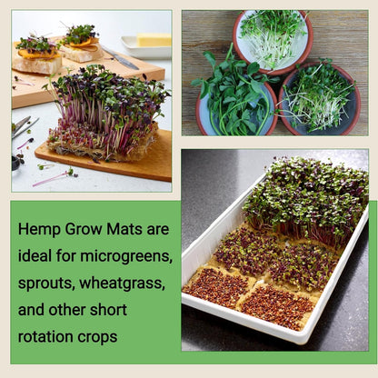 Hemp Fibre Grow Mats 40x Pack of 5"x5"