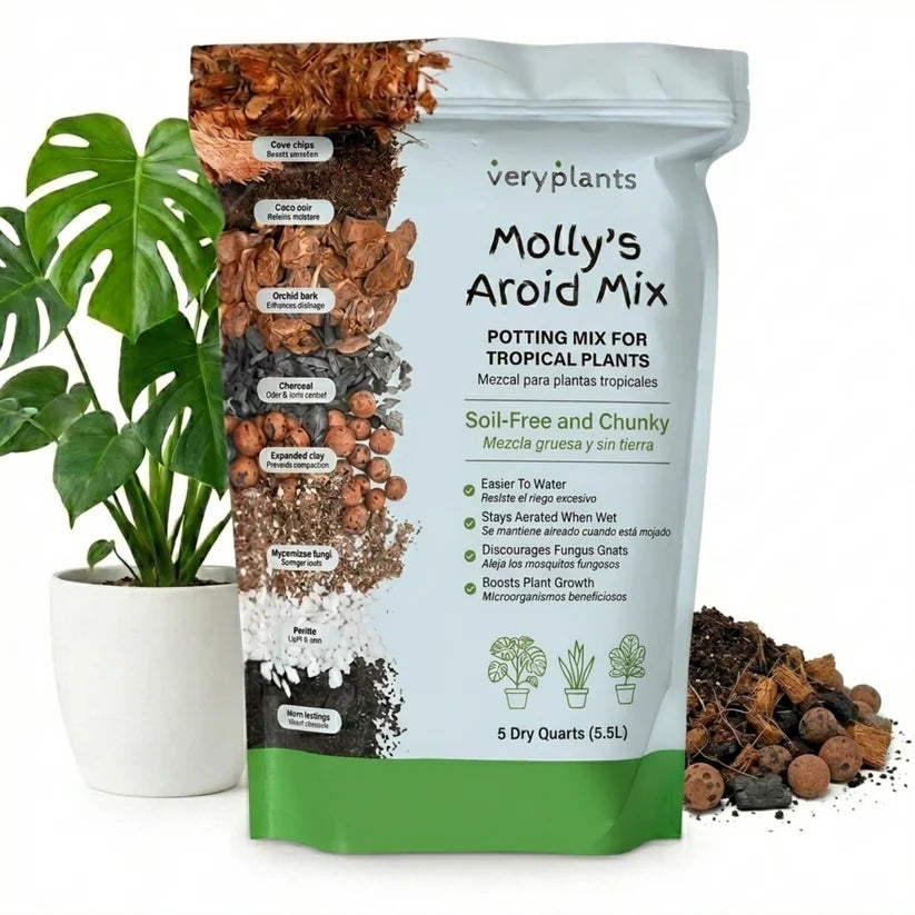 Molly's Aroid Mix 5.5L