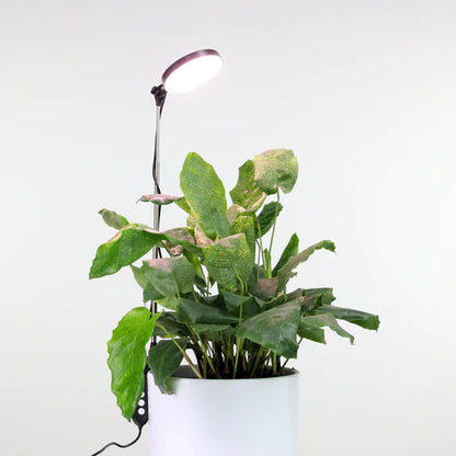 Mossify Adjustable LED Plant Light