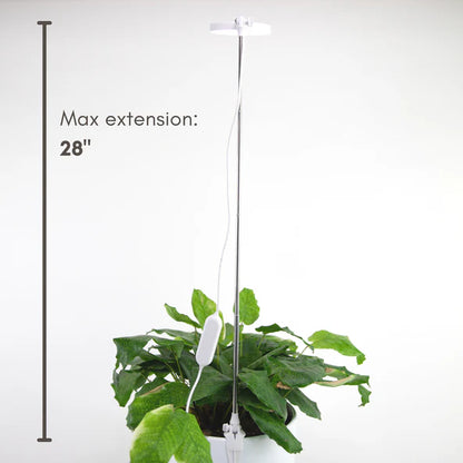 Mossify Adjustable LED Plant Light