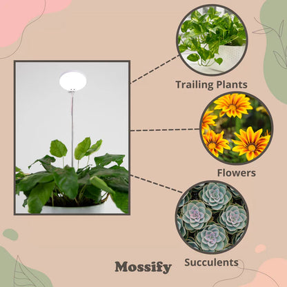 Mossify Adjustable LED Plant Light
