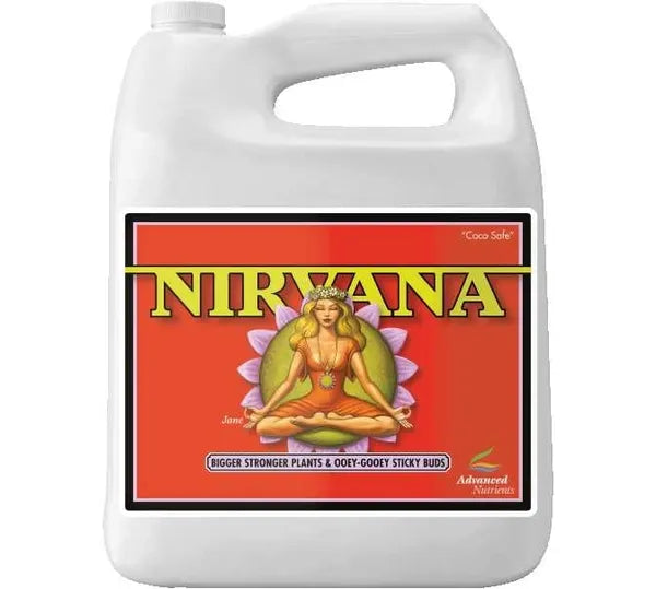 Nirvana