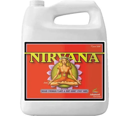 Nirvana