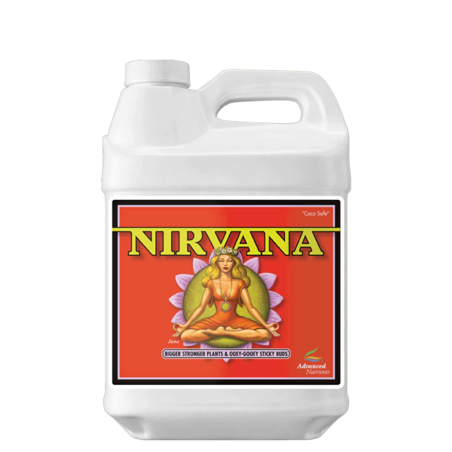 Nirvana