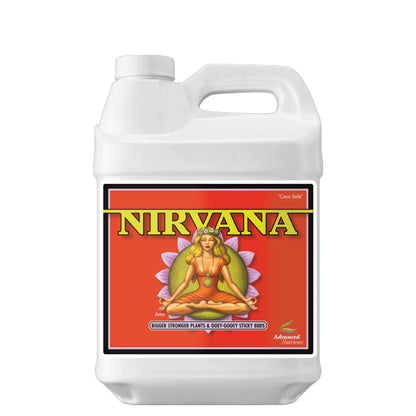 Nirvana