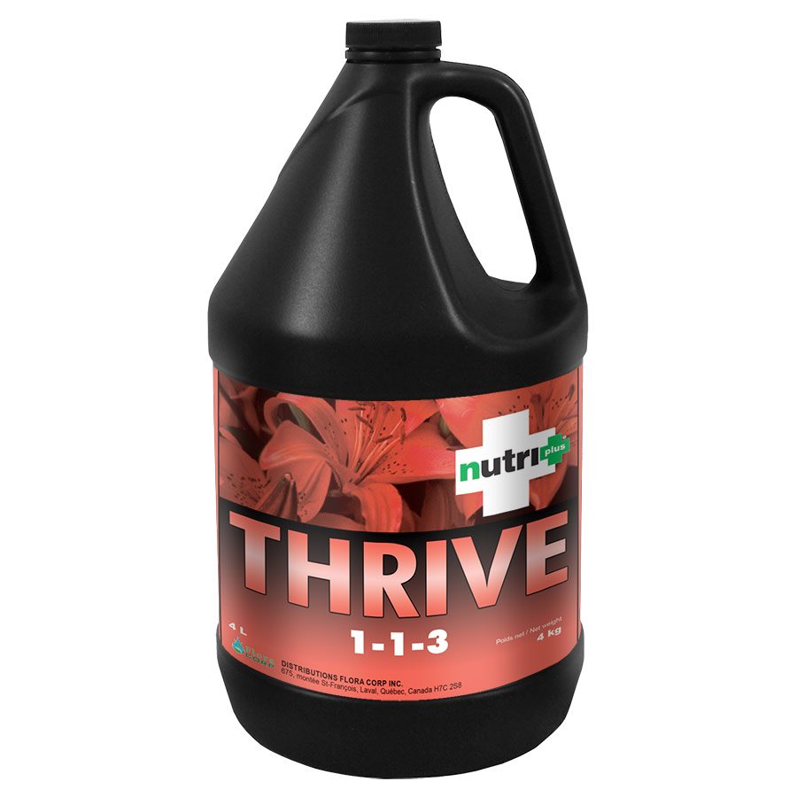 Nutri+ Thrive - Seaweed
