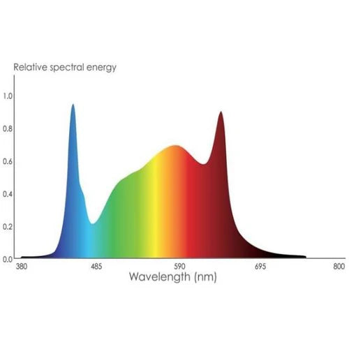 Phantom PHENO 440 LED 100-277V MP Spec. w/10ft crd