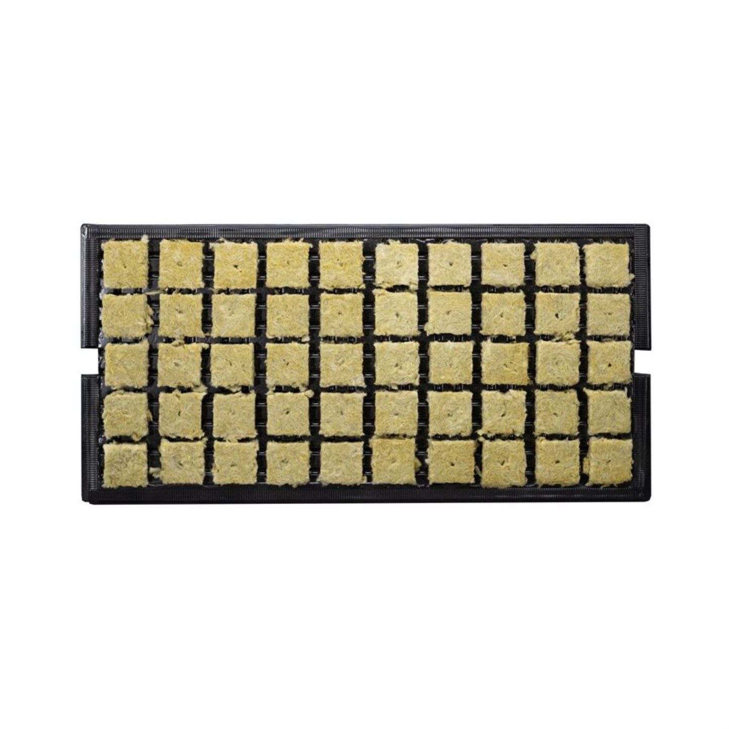 Grodan SBS A-OK Plugs 1.5" 50x with Tray