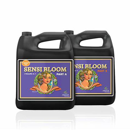 Sensi Bloom A/B Set