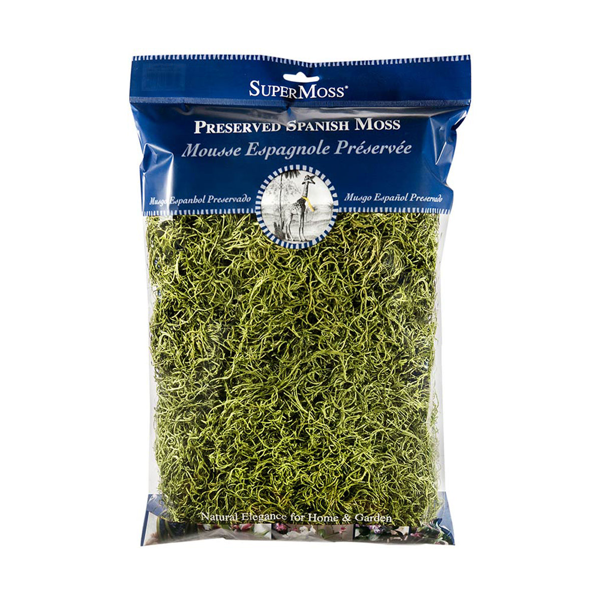 Spanish Moss 8oz