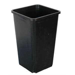 Square Pots - All Sizes